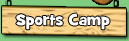 Sports Camp