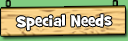 Special Needs Camp