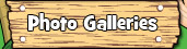Photo Galleries